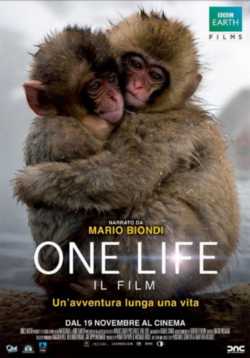 locandina manifesto One Life