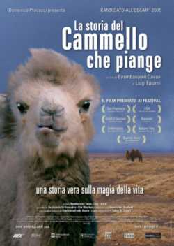 locandina La storia del cammello che piange
