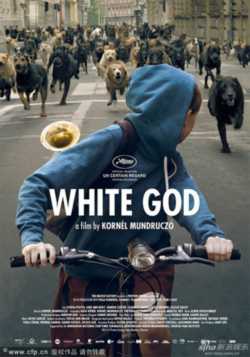 locandina White God