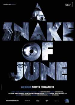 locandina A snake of june - Un serpente di giugno