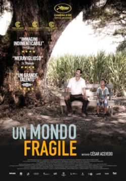 locandina Un mondo fragile
