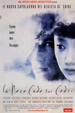 locandina La neve cade sui cedri