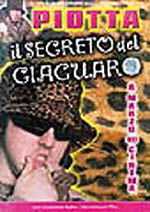 locandina Il segreto del giaguaro